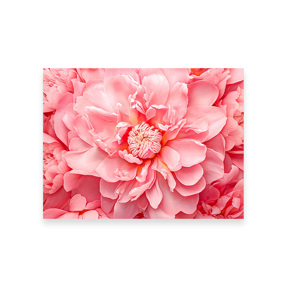Stunning Pink Flower Canvas Print