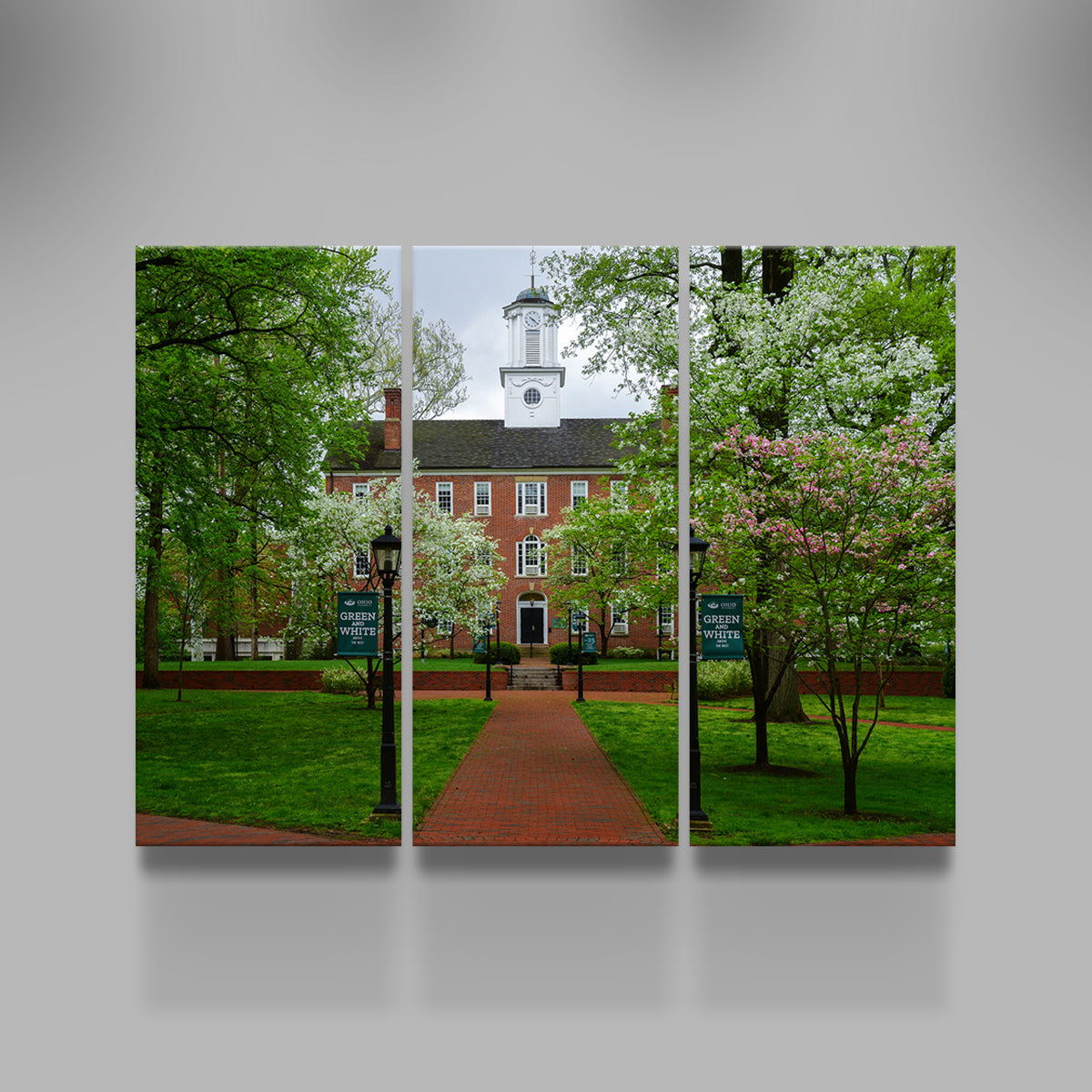 Exquisite Ohio University Wall Art for Home Decor