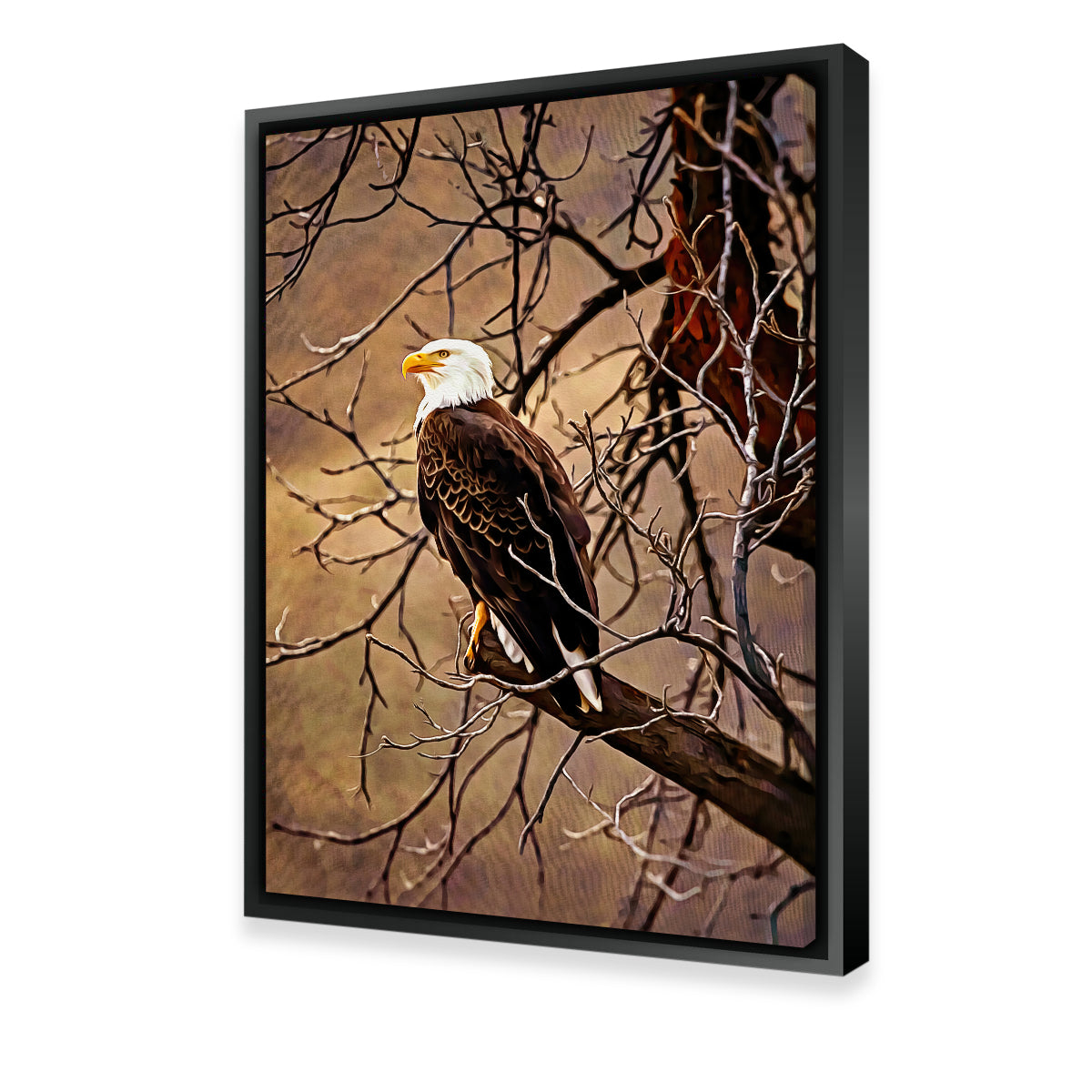 Exquisite Bald Eagle Wall Art by Denise Dundon