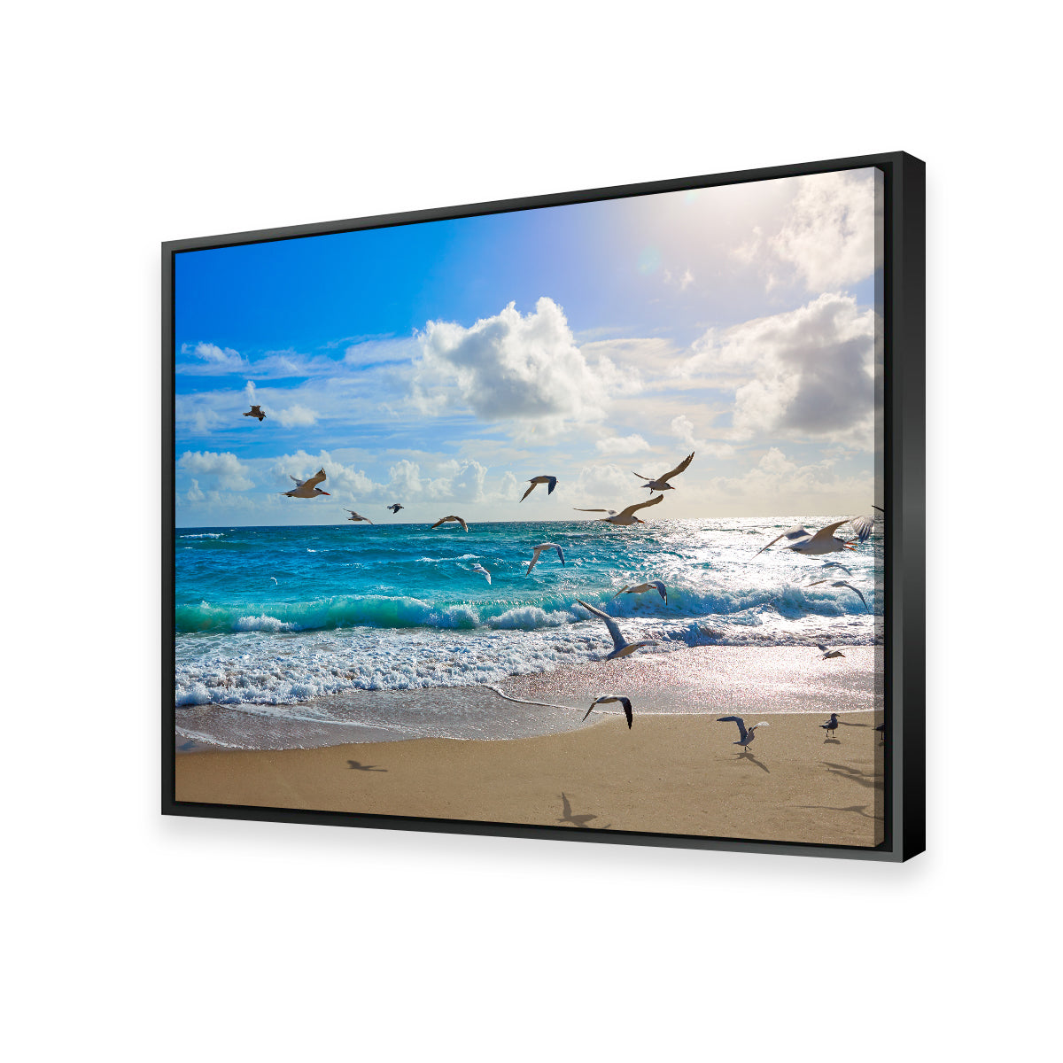 Stunning Singer Island Beach Seagulls Wall Art by Studiodtalk