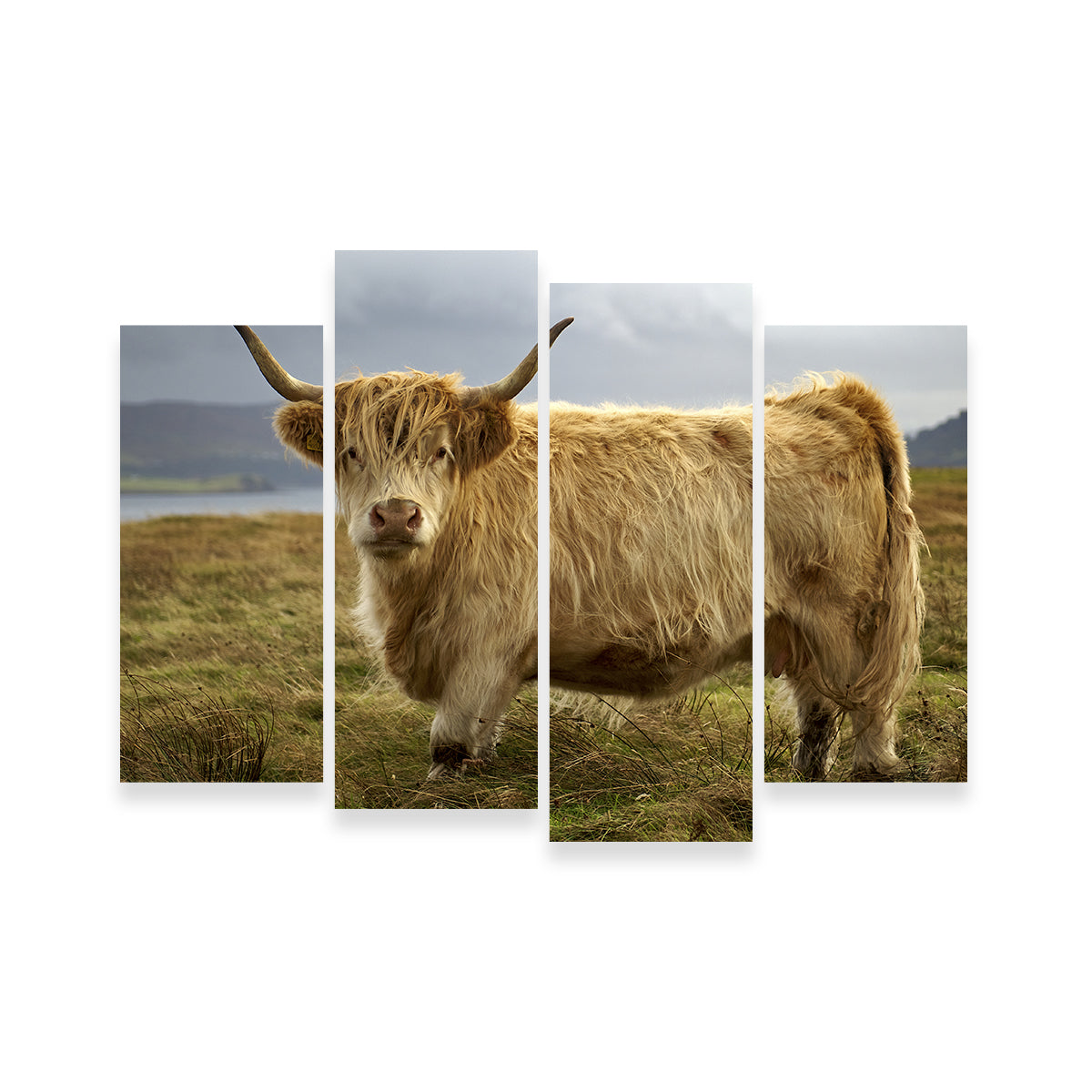 Charming Highland Cow Countryside Wall Art for Stunning Home Decor