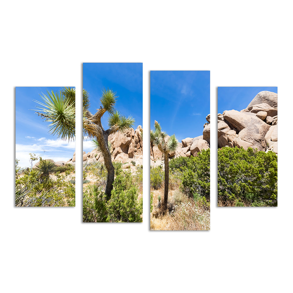 Stunning Impression from Joshua Tree National Park Wall Art for Your Home Decor