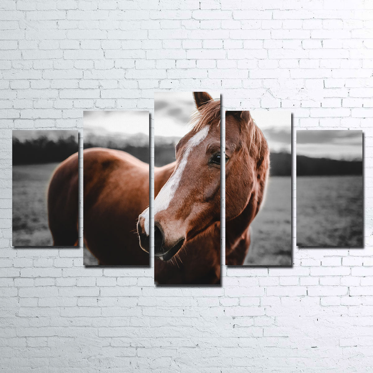 Exquisite Shining Horse Wall Art by Lucas Moore