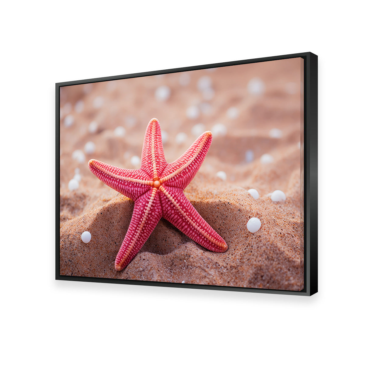 Gorgeous Pink Star Fish Canvas Print