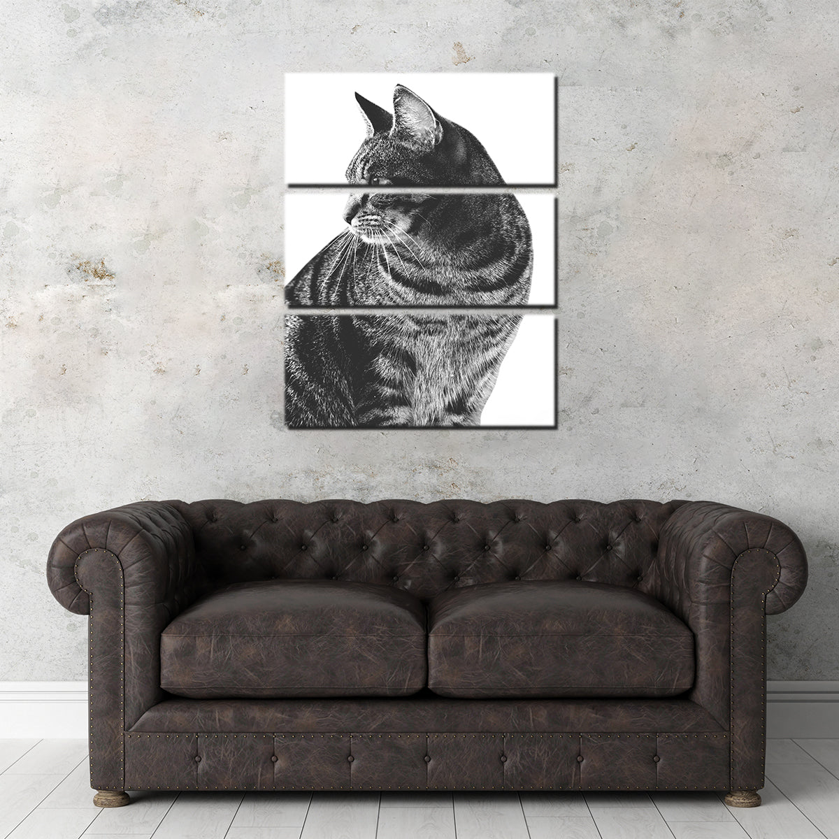 Stunning Cat Glance Wall Art by Lawisi