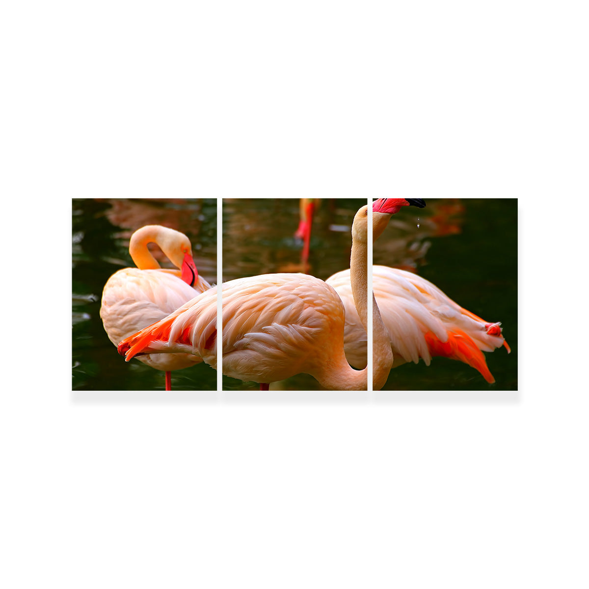 Stunning Pink Flamingo Birds Wall Art for Your Home Decor