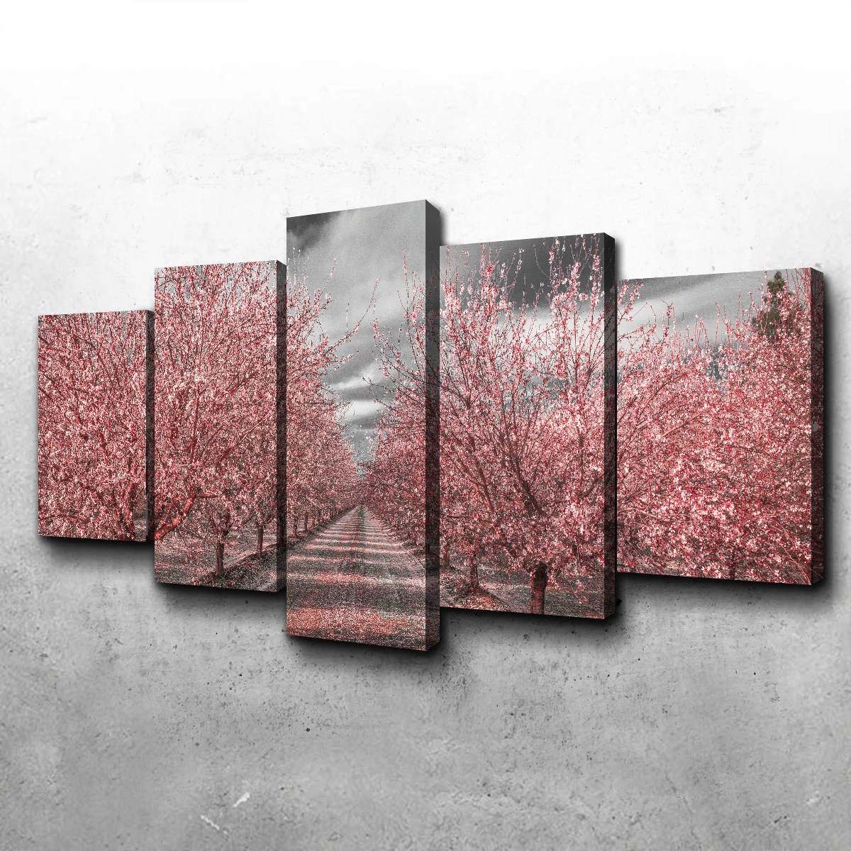 Stunning California Pink Blossoms Wall Art for Your Home Decor