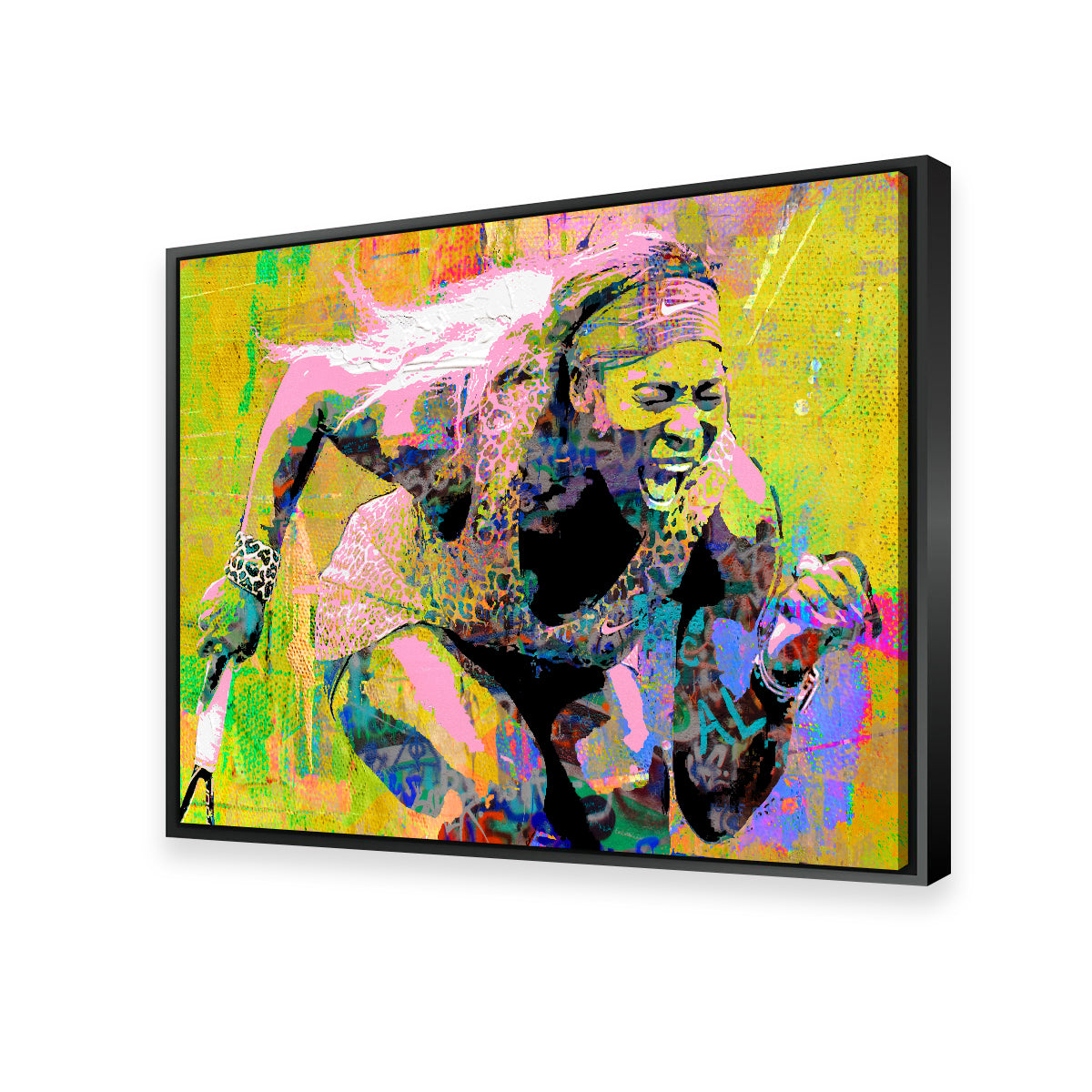 Stunning Serena Wall Art by Stephen Chambers