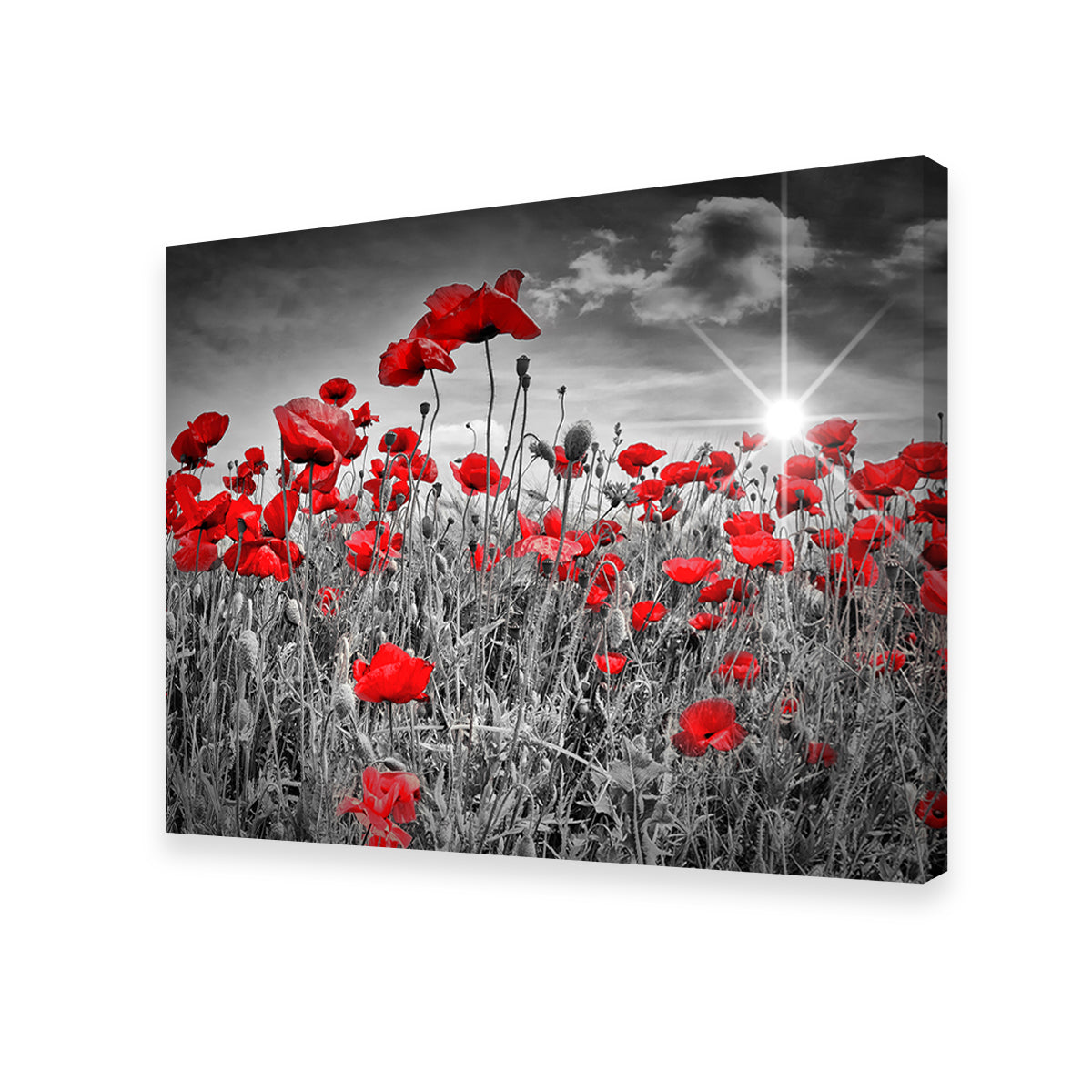 Stunning Idyllic Field of Poppies with Sun Wall Art for Home Decor