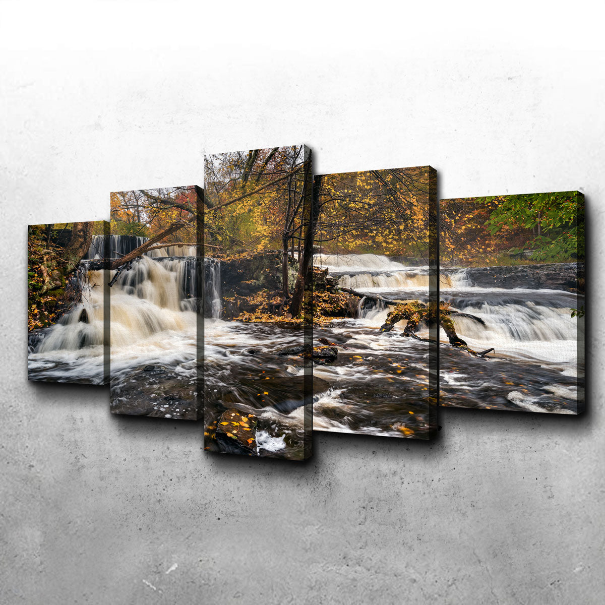 Eye - Catching Double Wall Art by Shaun Mayer
