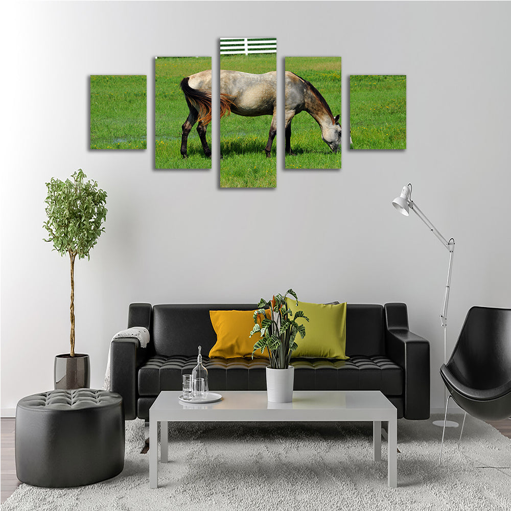 Stunning Arkansas Horse Grazing Wall Art for Home Decor