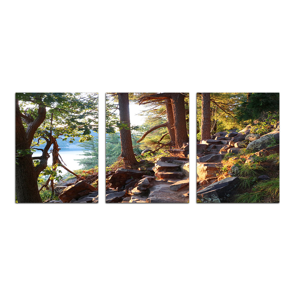 Stunning Ice Age Trail Wall Art for Your Home Decor