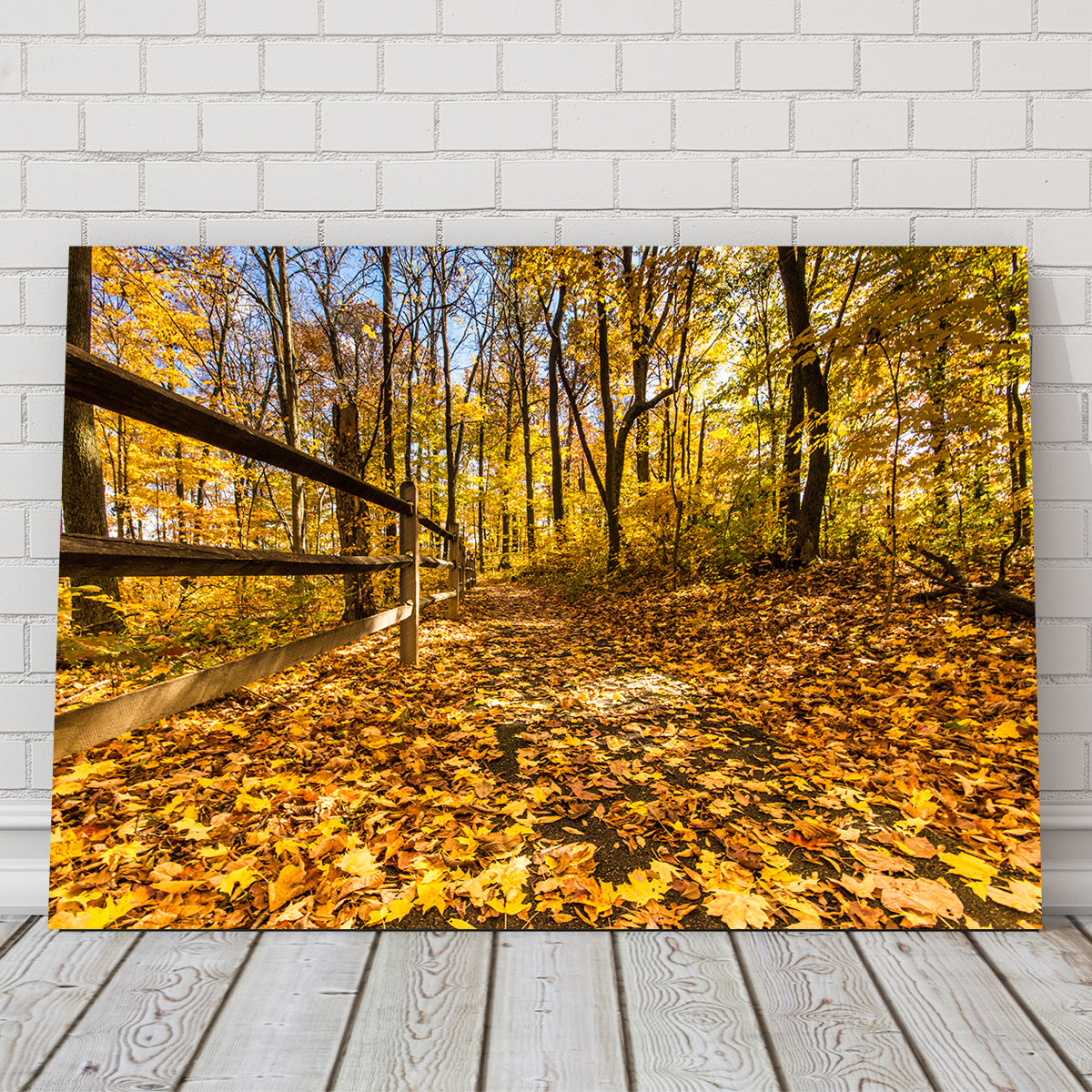 Breathtaking Caesar Creek State Park Fall Foliage Wall Art for Stunning Home Decor