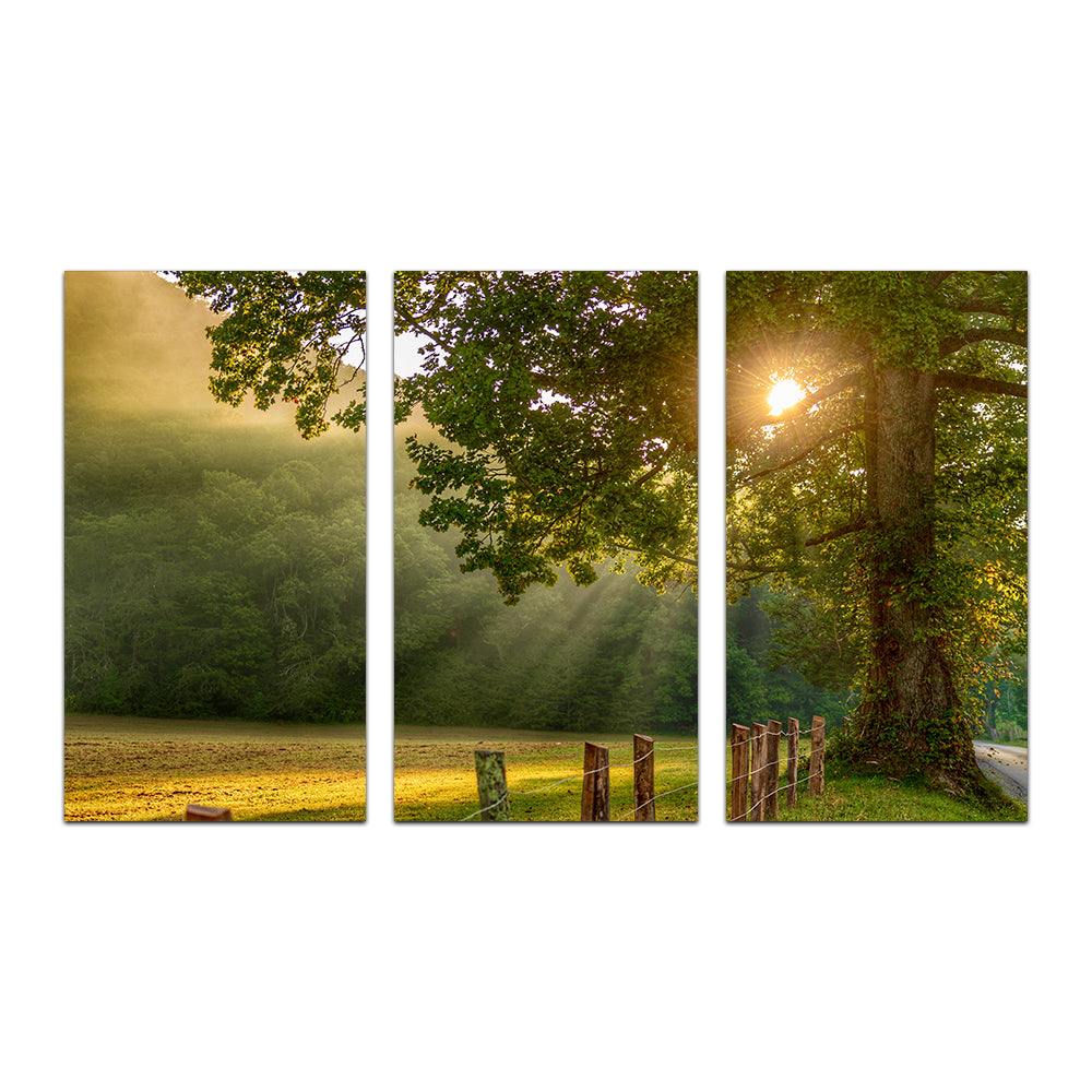 Stunning Cades Cove Wall Art for Home Decor