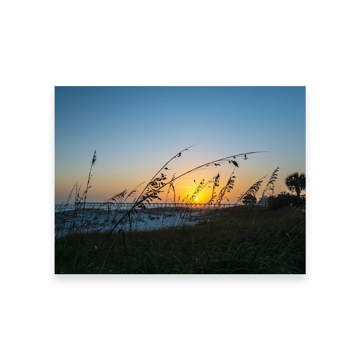 Exquisite Pensacola Wall Art by Barry Pack