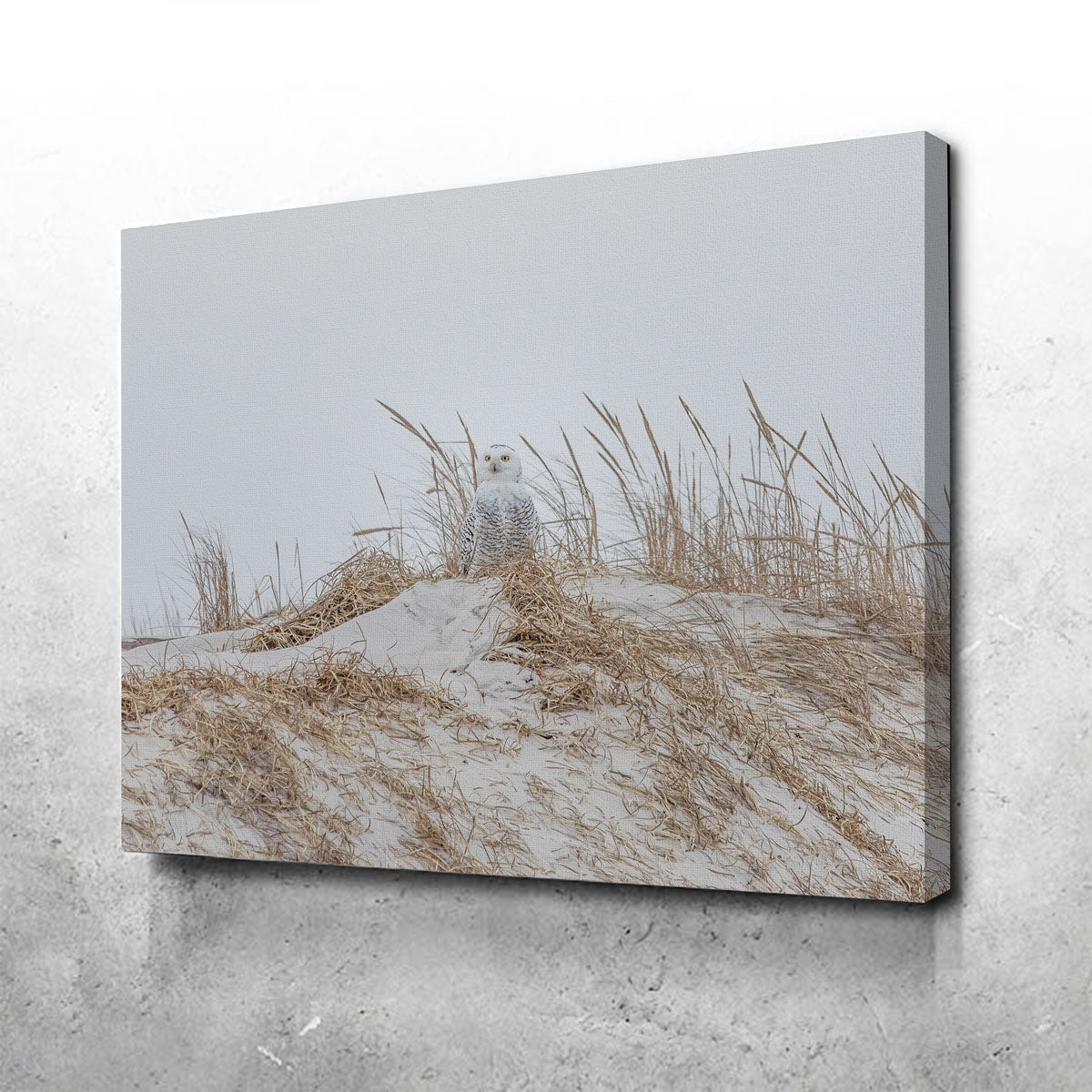Exquisite Snowy Owl Wall Art by Dennis Maida