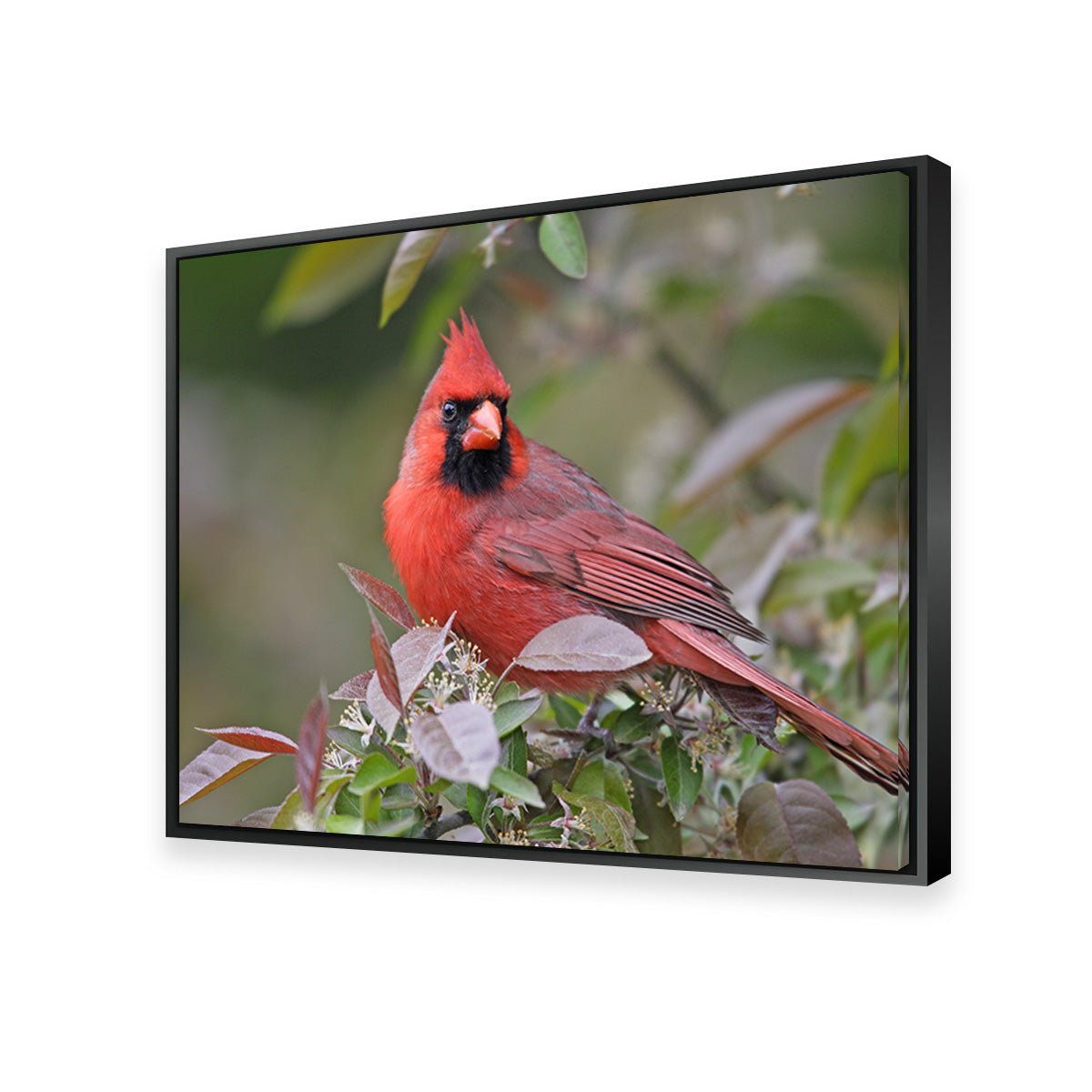 Exquisite Cardinal Perched Wall Art for Home Decor