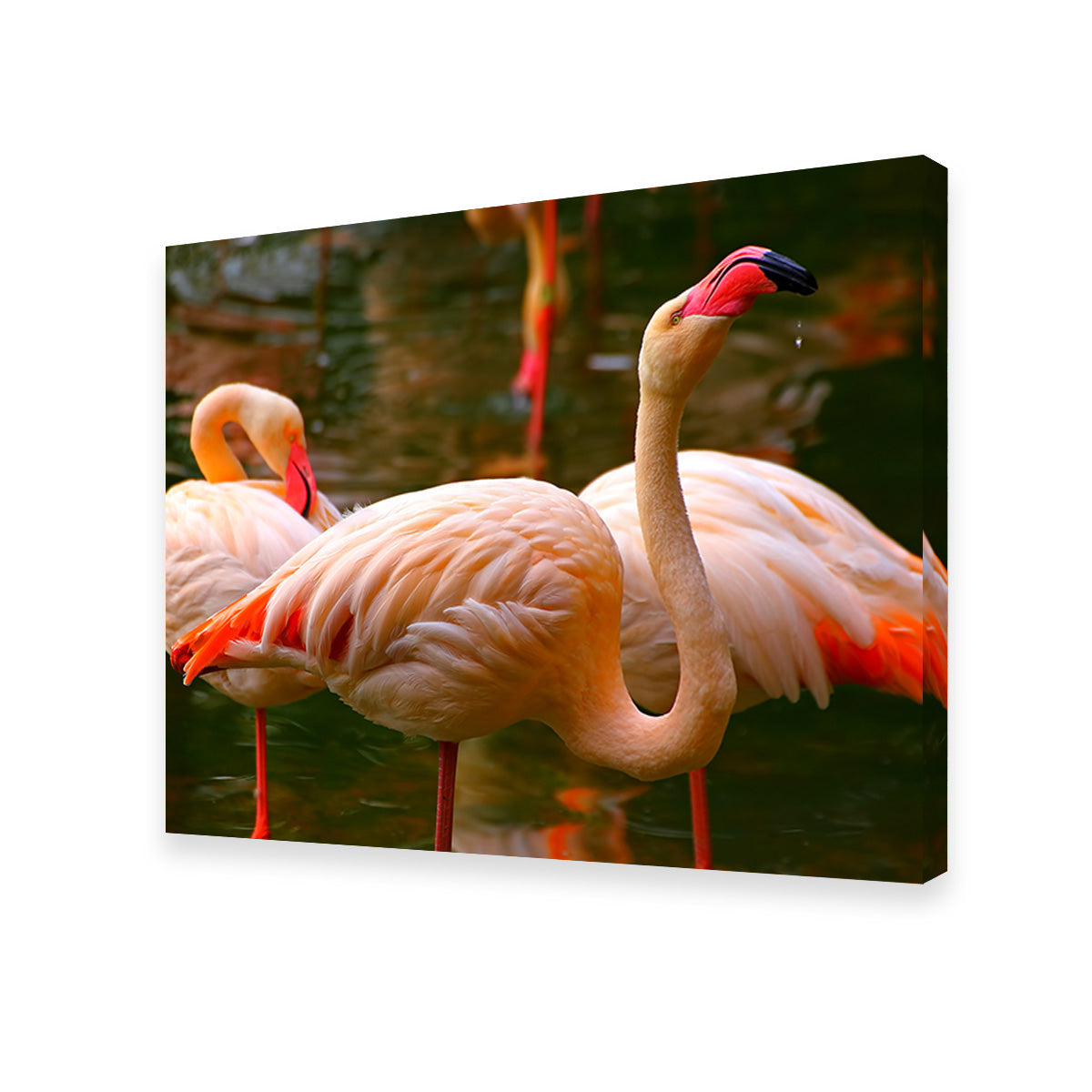 Stunning Pink Flamingo Birds Wall Art for Your Home Decor