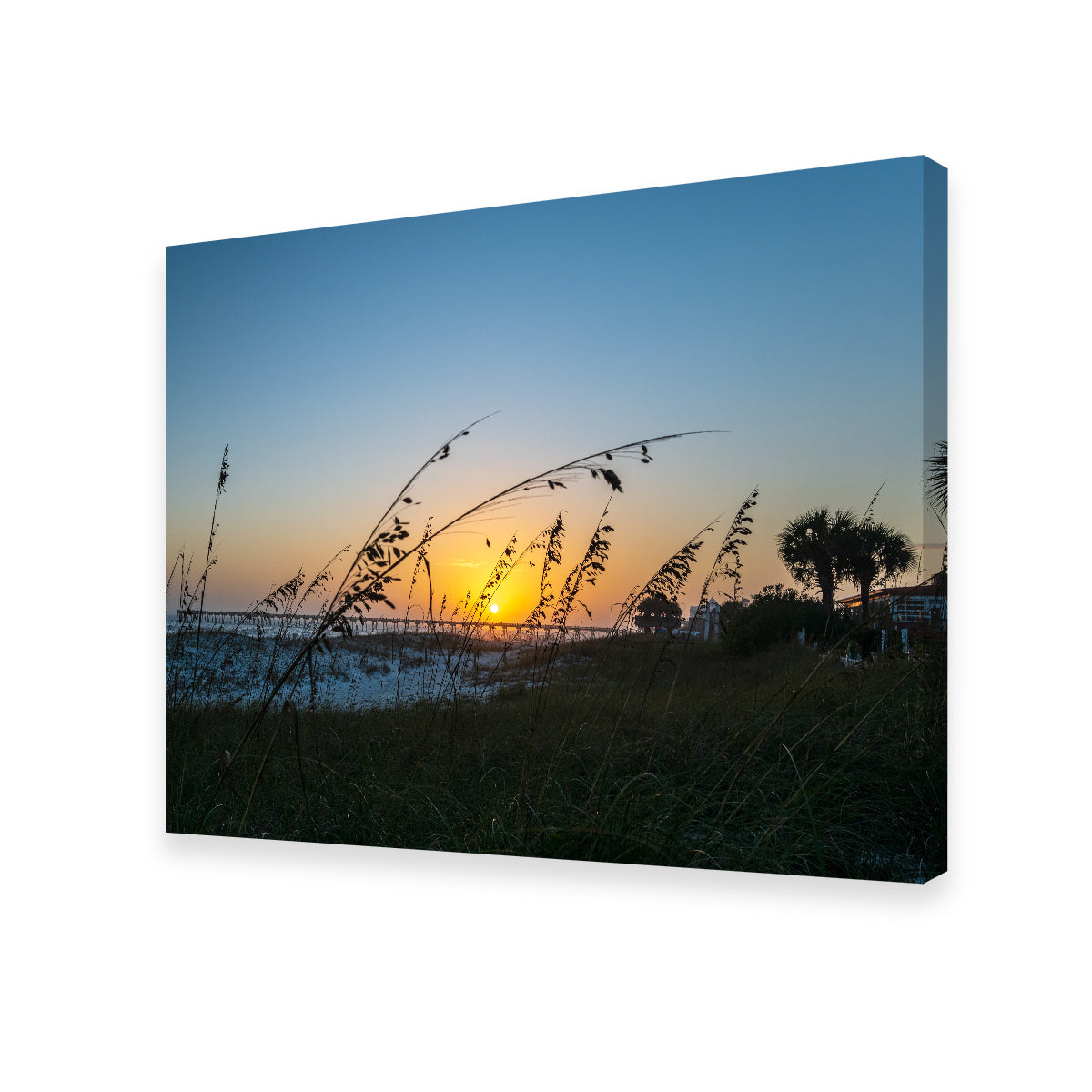 Exquisite Pensacola Wall Art by Barry Pack