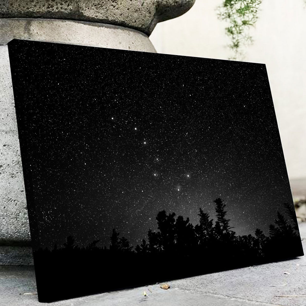 Exquisite Big Dipper Starry Night Wall Art by Dennis Maida