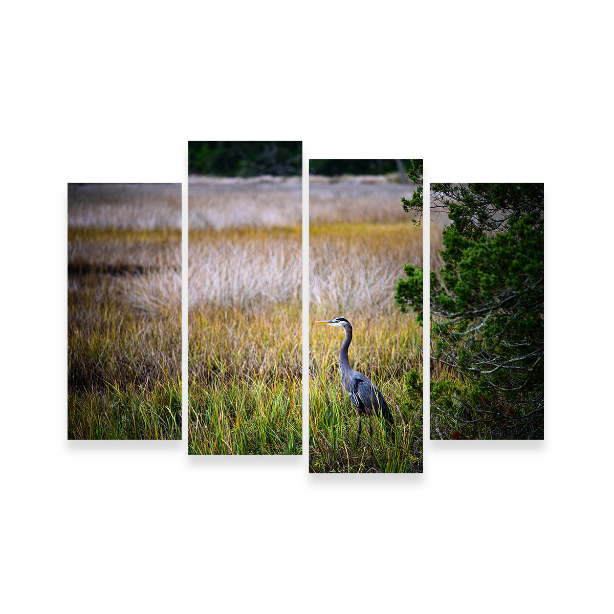 Stunning Heron Jekyll Island Wall Art by Barry Pack