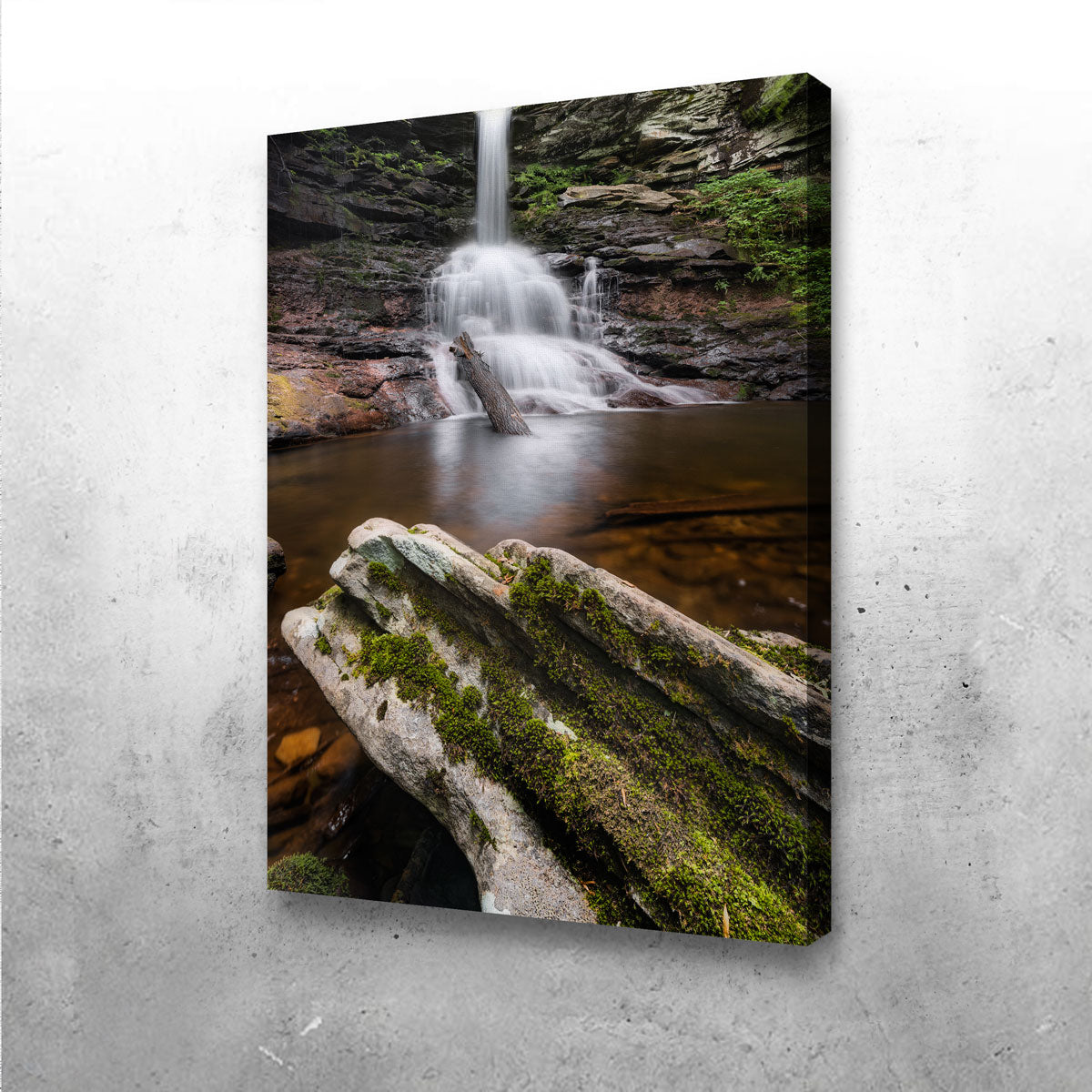 Stunning Sheldon Reynolds Falls Wall Art by Shaun Mayer