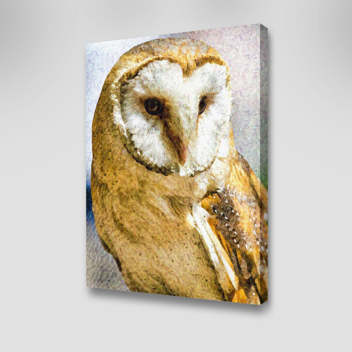 Exquisite Barn Owl Wall Art by Denise Dundon