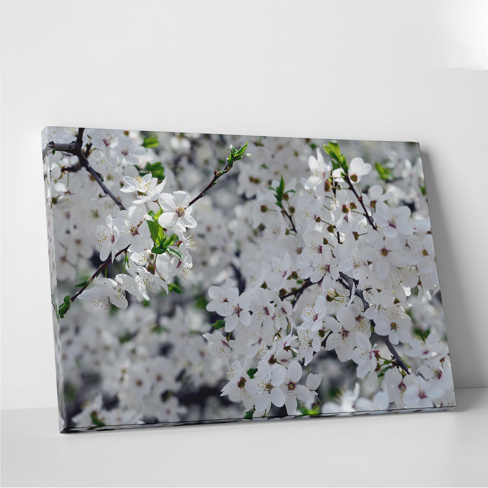 Gorgeous Apple Tree Blossoms Wall Art for Stunning Home Decor