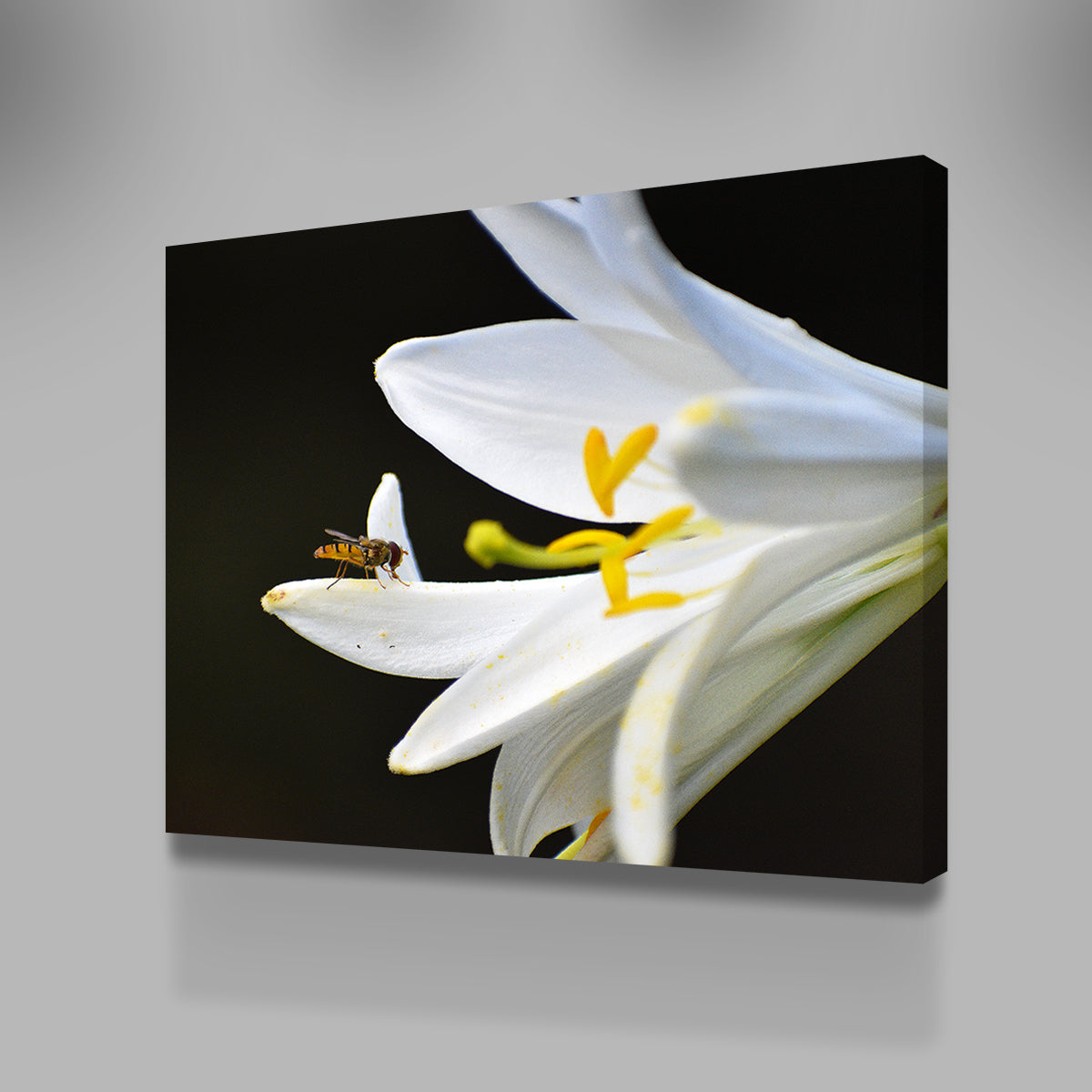 Exquisite Pollen Wall Art by George Sorin