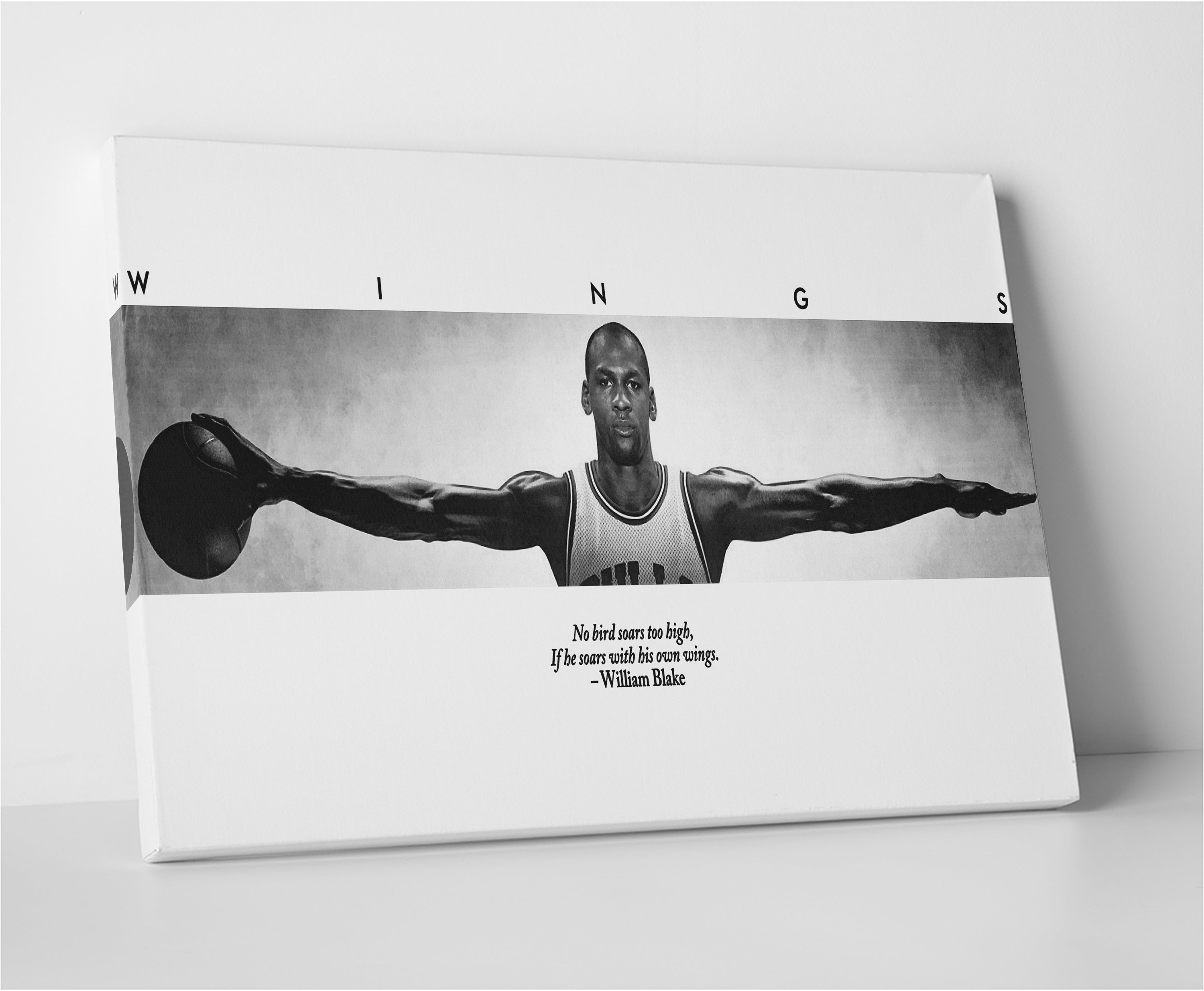 MJ Wings Stunning Panoramic Wall Art for Home Decor