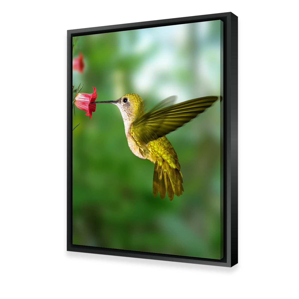 Stunning Hummingbird Flying Wall Art for Your Home Decor