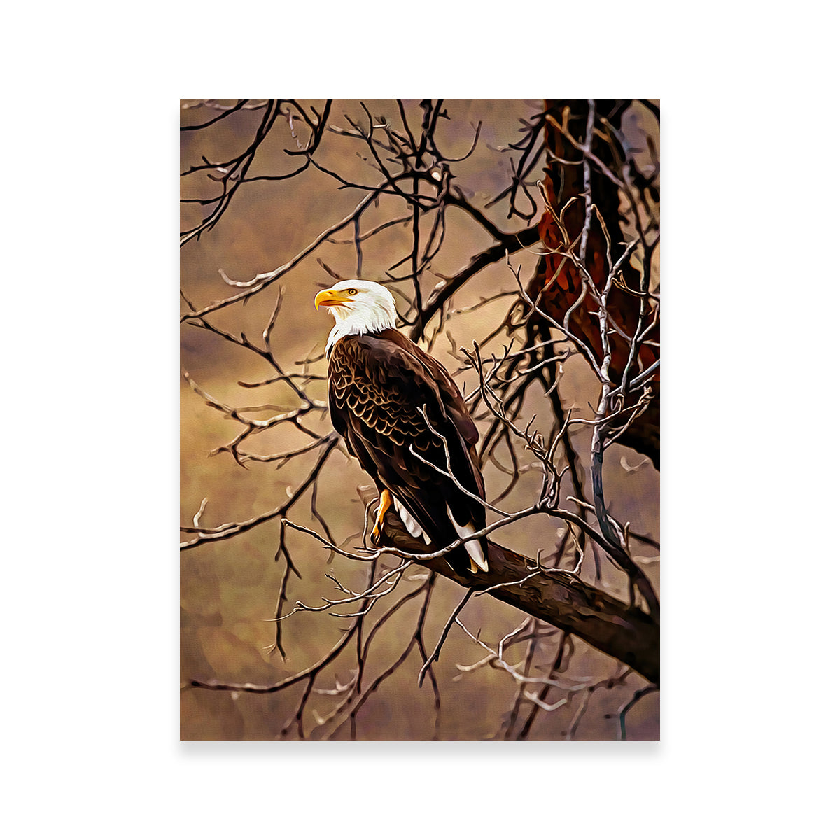Exquisite Bald Eagle Wall Art by Denise Dundon