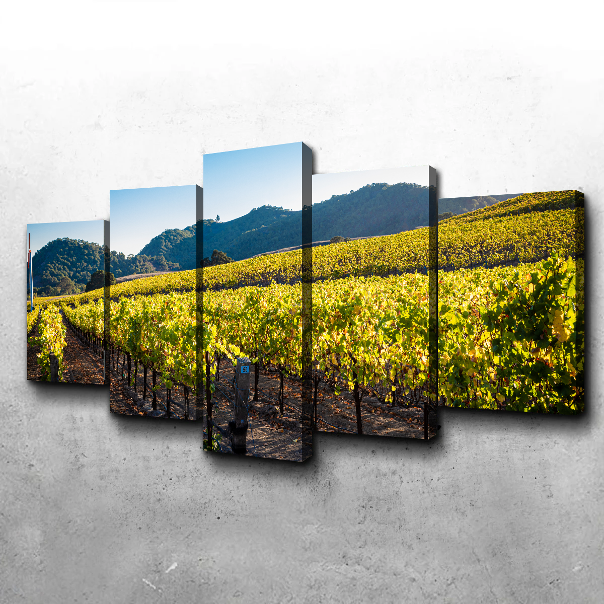 Stunning Central California Vineyard Wall Art for Your Home Decor