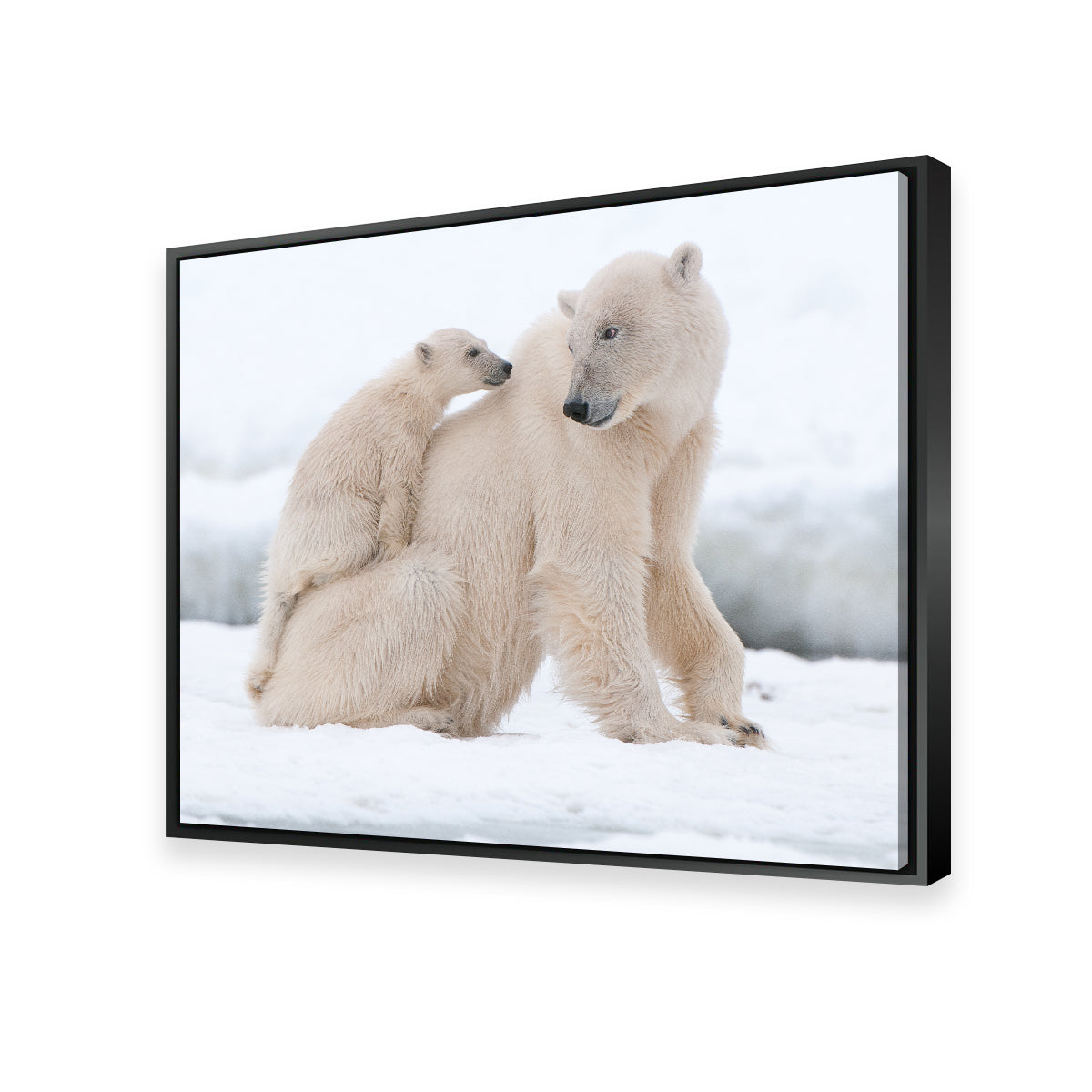 Adorable Polar Bear with Cub Wall Art for Stunning Home Decor