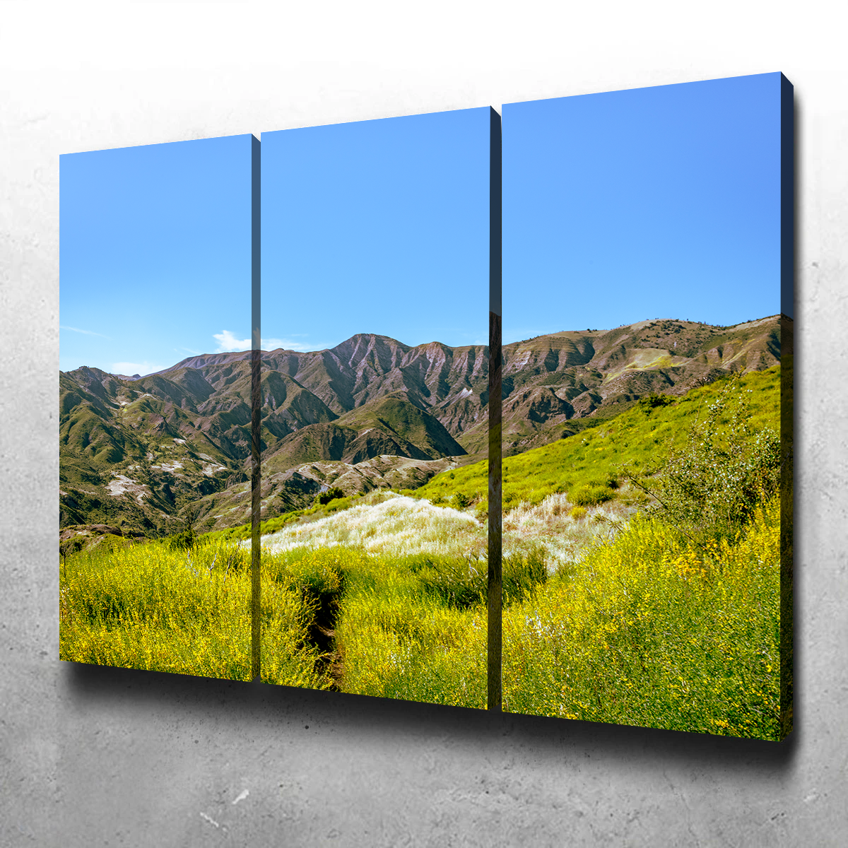 Stunning Alexander Peak Wall Art by Kyle Sherry