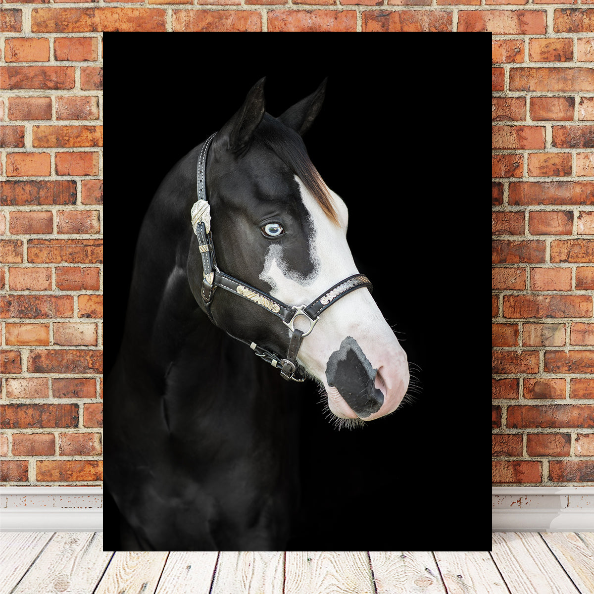 Stunning American Paint Horse Wall Art for Your Home Decor
