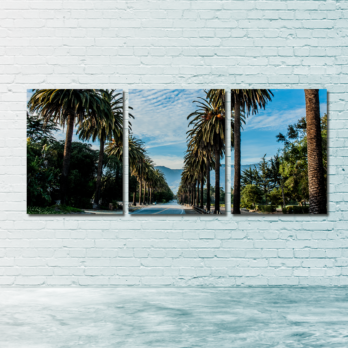 Hope Ranch Palm Drive Exquisite Wall Art by Kyle Sherry