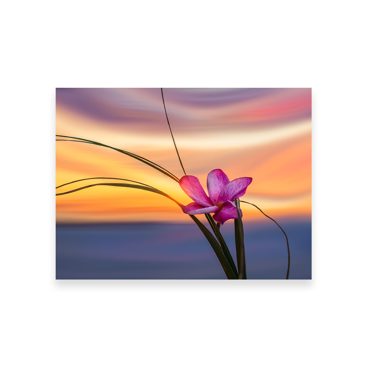 Stunning 'She Loves Me' Wall Art by Eileen Rollin