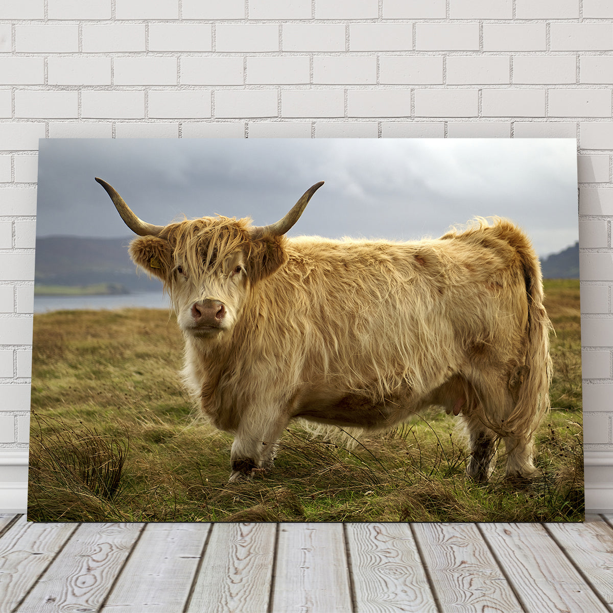 Charming Highland Cow Countryside Wall Art for Stunning Home Decor