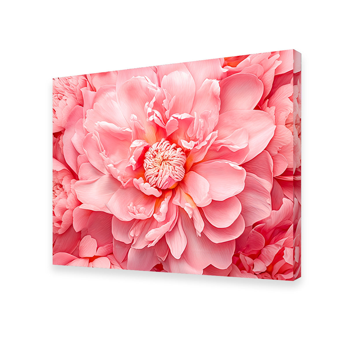 Stunning Pink Flower Canvas Print