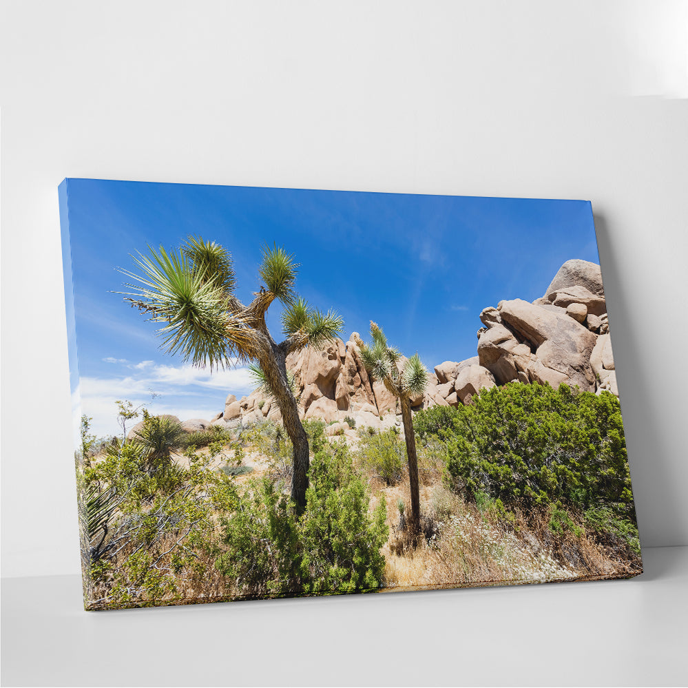 Stunning Impression from Joshua Tree National Park Wall Art for Your Home Decor