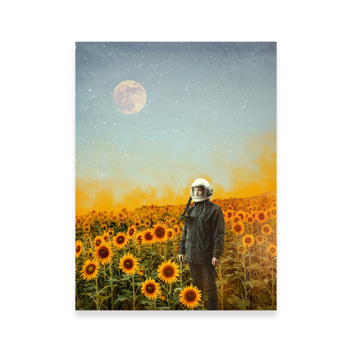 Astro Garden Wall Art by RAPart - Premium Kiln - Dried Pine Wood Framed Canvas
