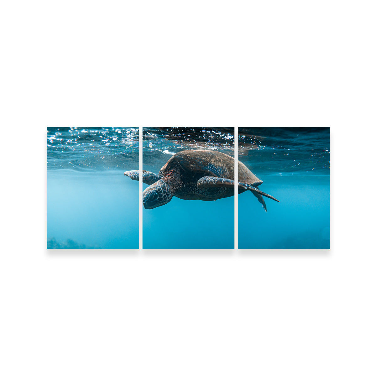 Exquisite Below the Surface Wall Art by Lucas Moore