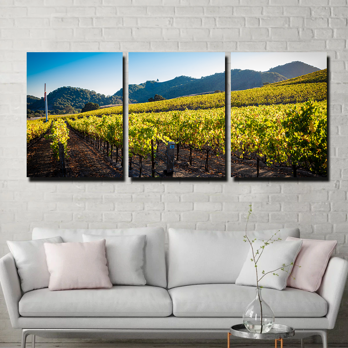 Stunning Central California Vineyard Wall Art for Your Home Decor