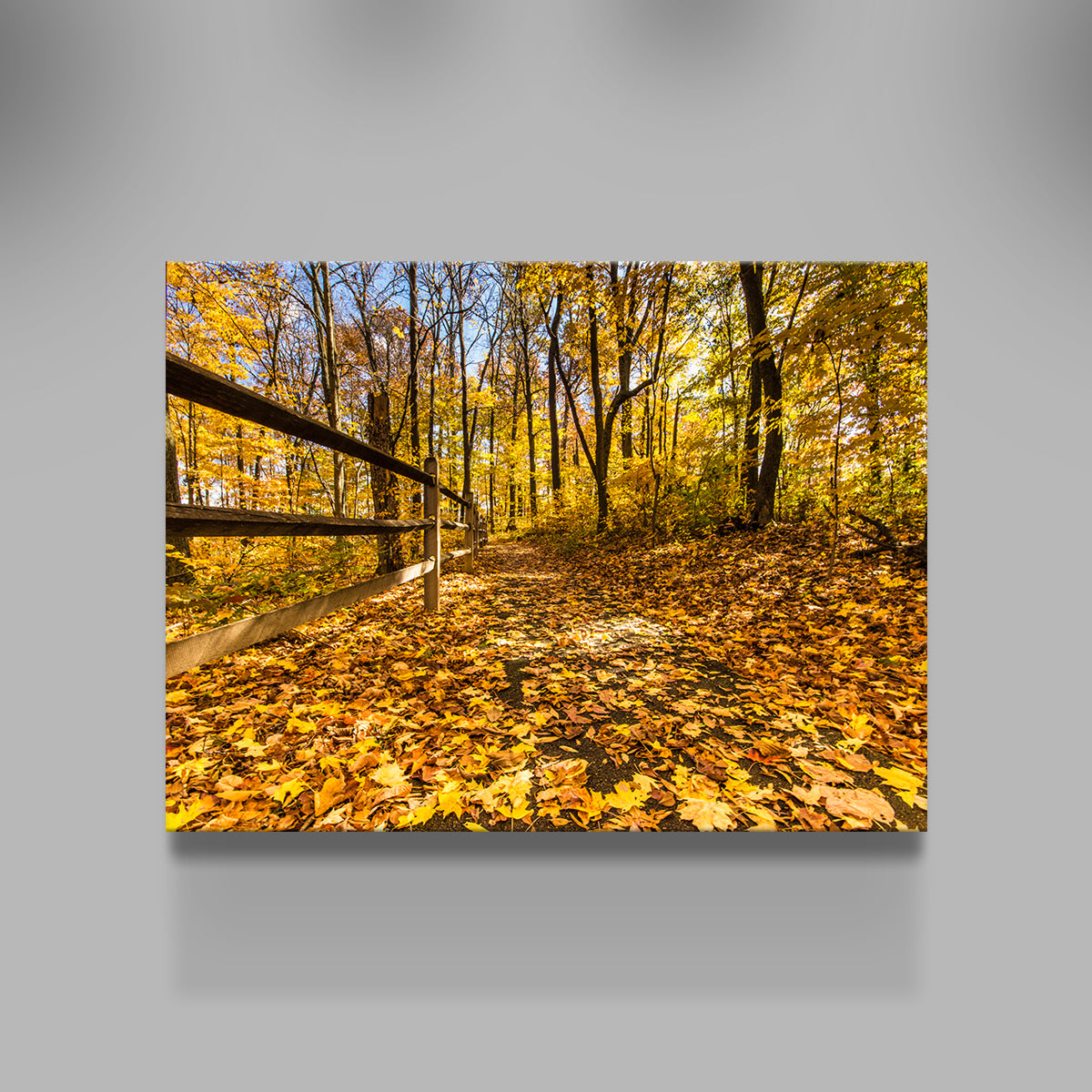Breathtaking Caesar Creek State Park Fall Foliage Wall Art for Stunning Home Decor