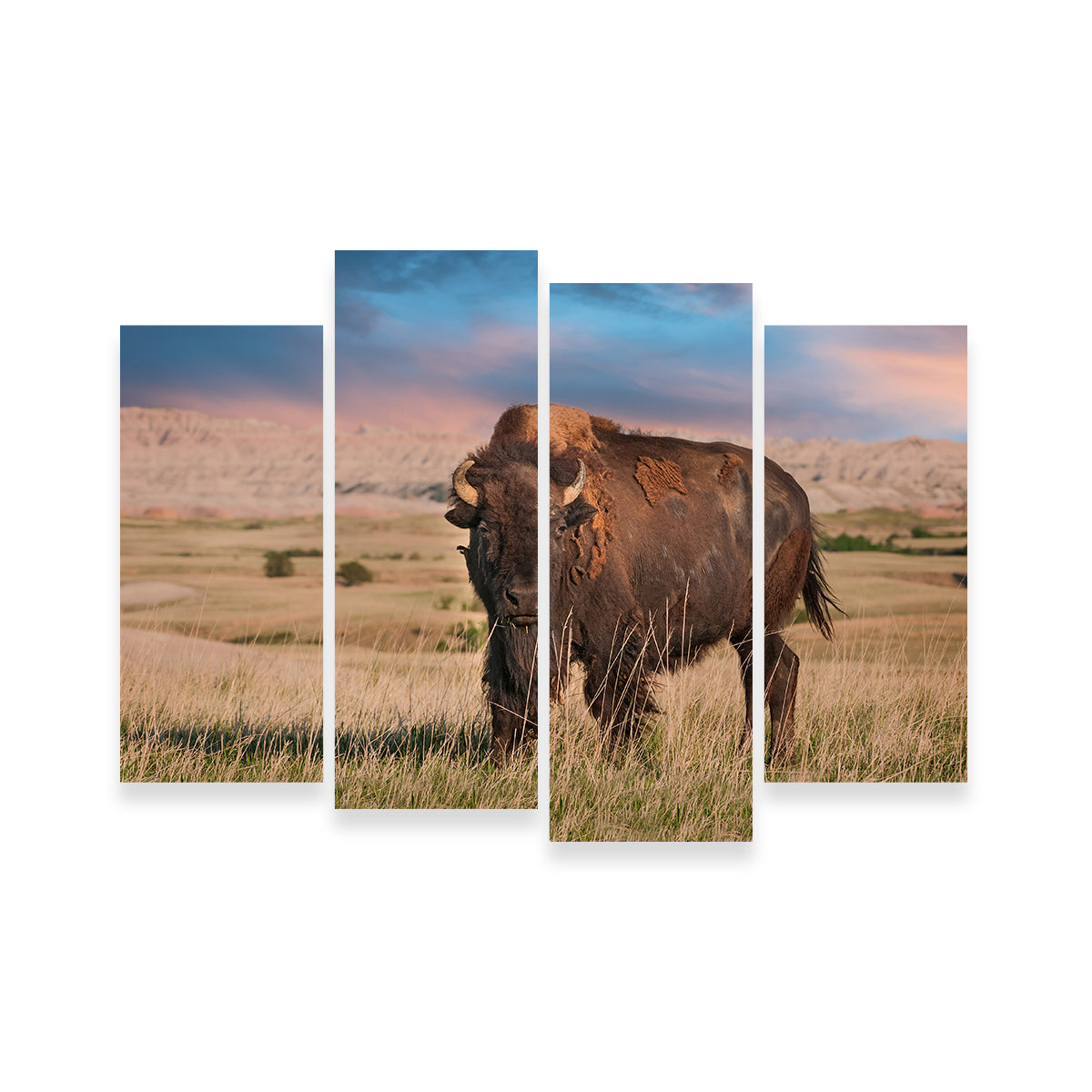 Stunning Badlands Bison Bull Wall Art for Striking Home Decor