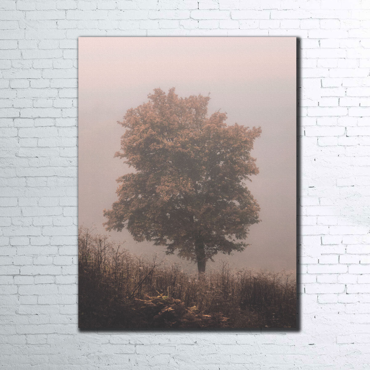 Gorgeous Pink Haze Wall Art by Mike Cotton