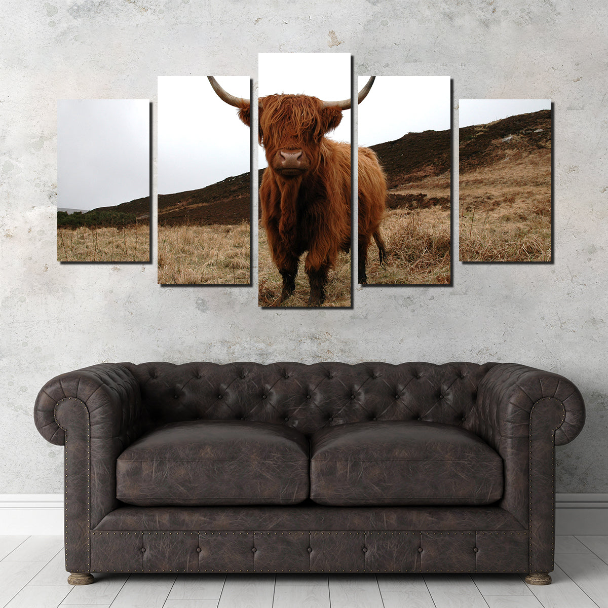 Gorgeous Highland Cow Wall Art Inspired by Northern Scotland