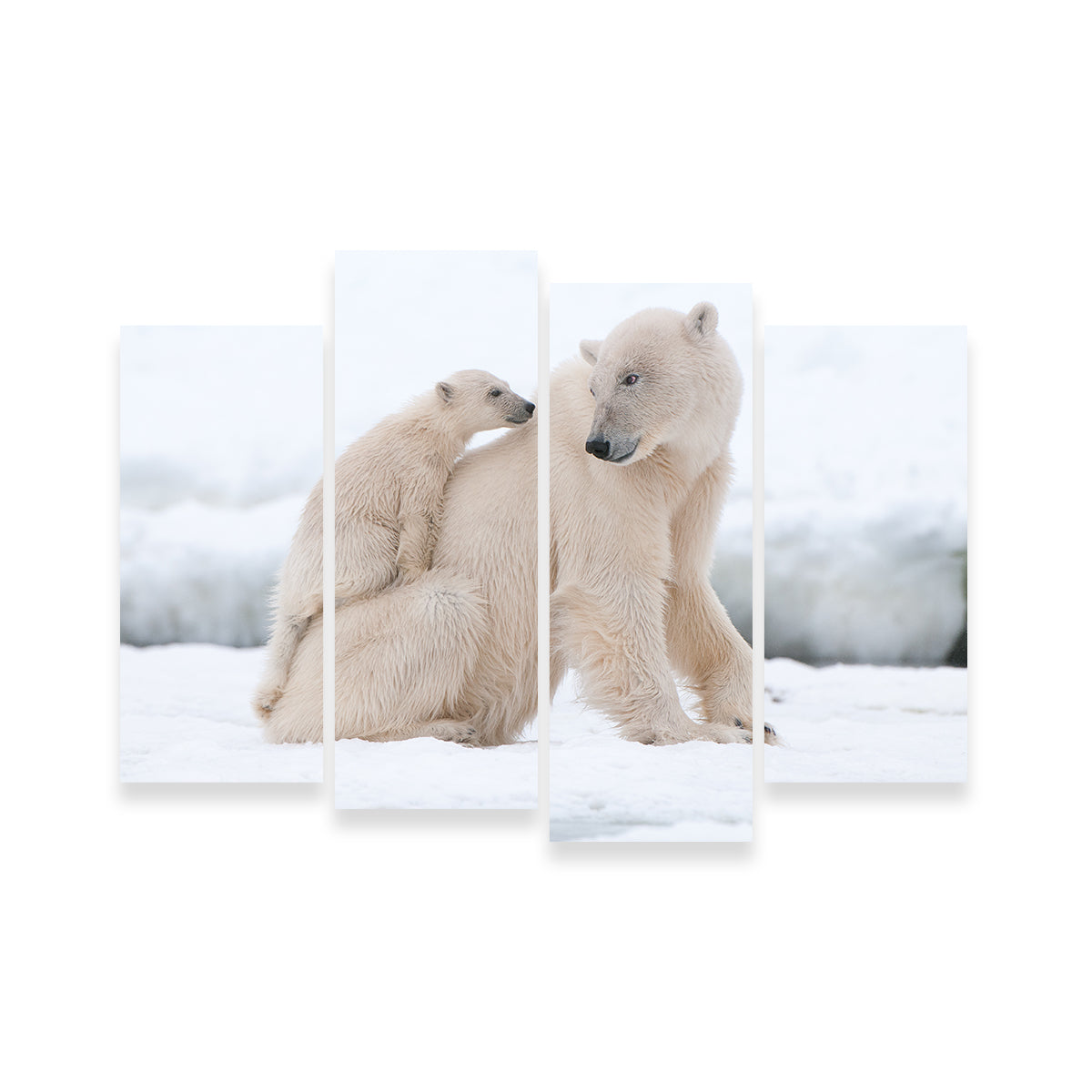 Adorable Polar Bear with Cub Wall Art for Stunning Home Decor