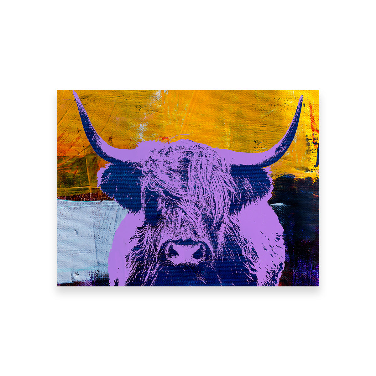Gorgeous Highland Cow Wall Art by Stephen Chambers